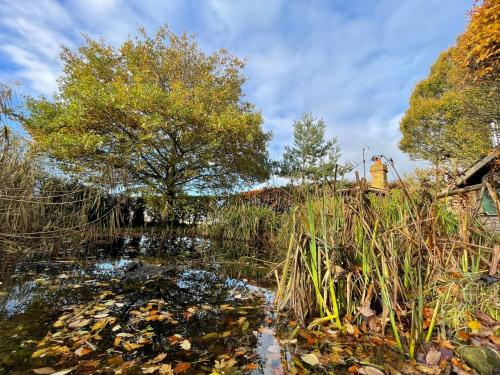 Dragonfly Lodge in Grindale