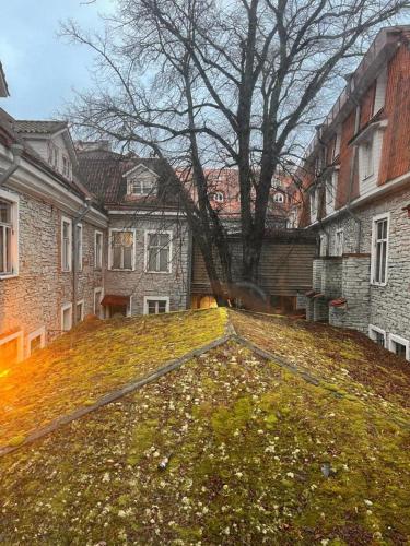 St.Olav Hotel - image 14