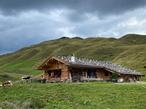 Surrounding environment, Murmeltier-Stube in Wiesenlehen