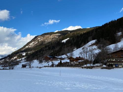 Surrounding environment, Murmeltier-Stube in Wiesenlehen