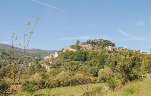 Fonterucola