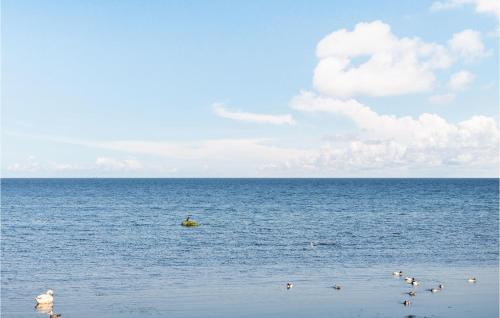 Iekārtas, Pet Friendly Home In Beddingestrand in Beddingestrand