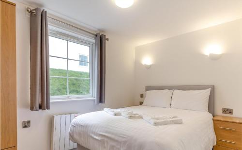 Apartment with Access to Pool Spa & Soft play, Ilfracombe (foto 3)
