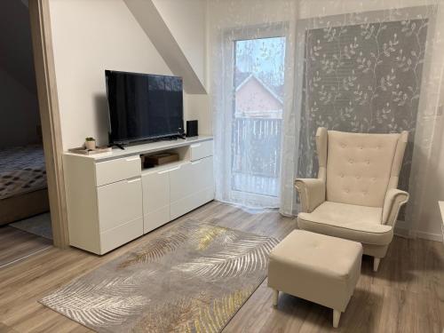One-Bedroom Apartment image 10