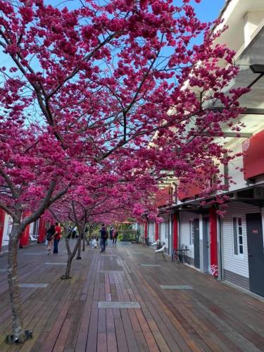 Miaoli Sanyi Bo Wu Guan Homestay in Sanyi Község