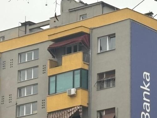 Parrot Building Guest House, Skopje (Foto 6)