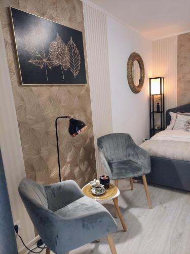 設施, PALADIS Studio - Free Parking in 加迪魯爾奧博