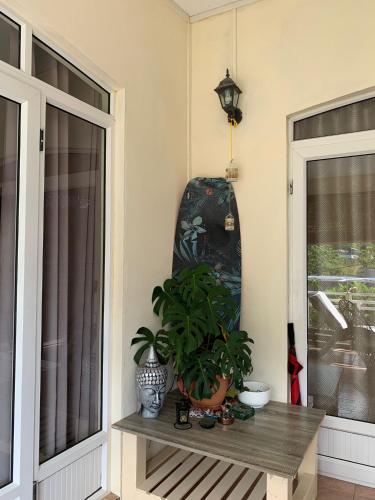 Sunlight Studio, La Gaulette (Foto 4)