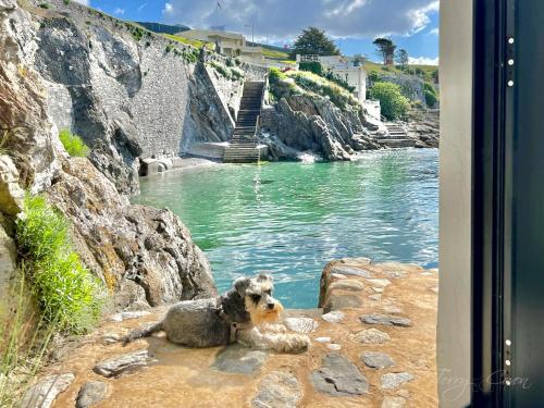 Seafront Cottage - Beach Access - Pet Friendly, Plymouth (foto 5)