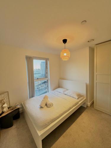 Deansgate City Centre Apartment, Manchester (fotografie 9)