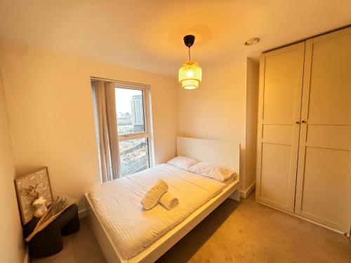 Deansgate City Centre Apartment, Manchester (fotografie 6)