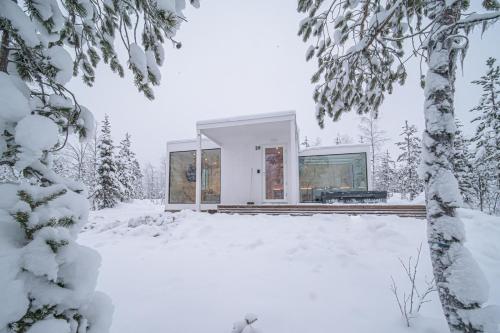 Northern Lights Ranch