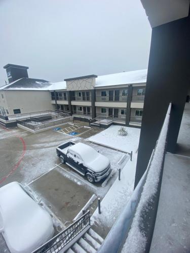 LiV Inn & Suites Houston - image 6