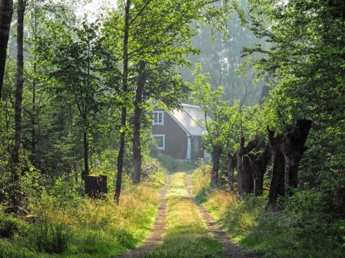Apkārtne, Mormorslyckan in Immeln