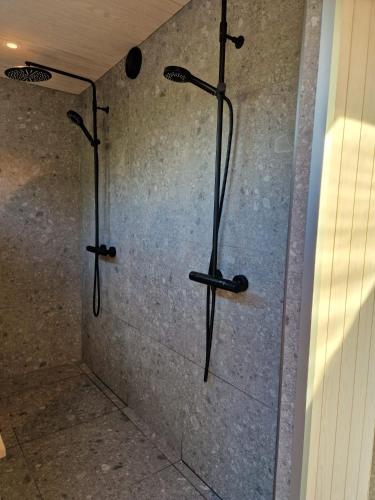 Northern Lights Ranch