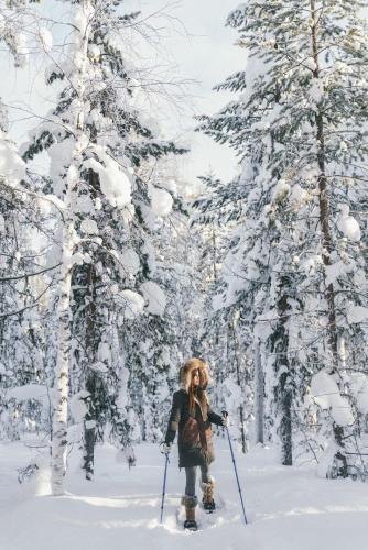 Northern Lights Ranch