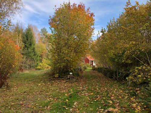 Skats, Mormorslyckan in Immeln