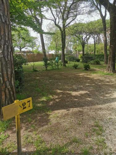 Camping Valdor Camper & Pitch