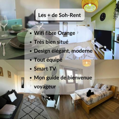 SOH Rent Appartement Strasbourg 2 pièces wifi terrasse, Strasbourg (photo 6)