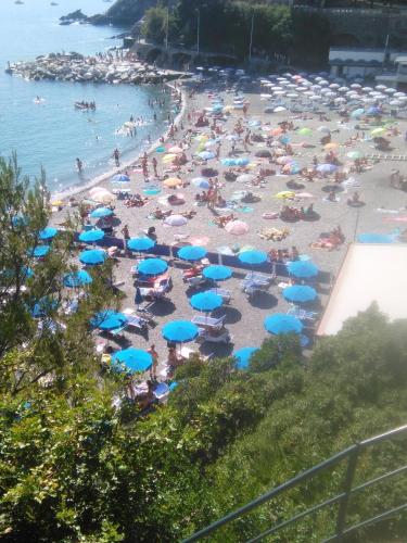 AL MARE DAVANTI A PORTOFINO - BY THE SEA IN FRONT of PORTOFINO