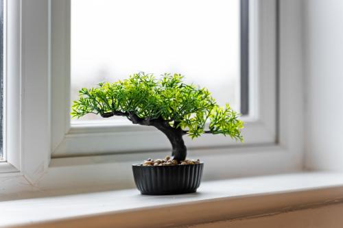 Julia's 3-Bedroom Home in Quinton, Birmingham Julia's 3-Bedroom Home in Quinton, Birmingham