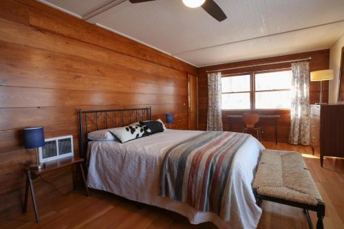 Gorgeous Views, Fishing at Private Cabin on Pelican Lake, Orr MN in Orr (MN)