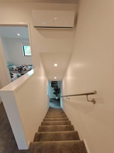 A Quiet Modern and Brand New Gem A Quiet Modern and Brand New Gem