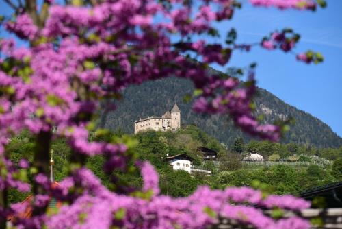 Pension Stamserhof