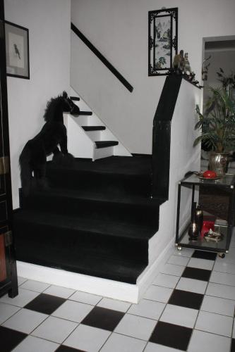 Domizil an der Gracht -2 bis 4 Pers - Friedrichstadt nahe Nordsee