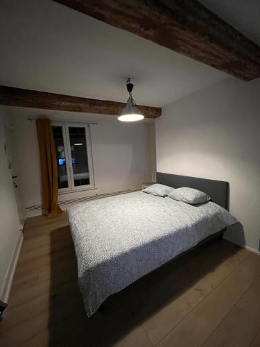 Stylish Apartment Grand Place, Bruselas (foto 10)