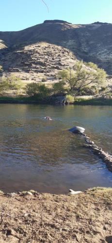 La Cabaña sobre Río Aluminé Pilo Lil (La Cabana sobre Rio Alumine Pilo Lil) in 후닌데 로스 안데스