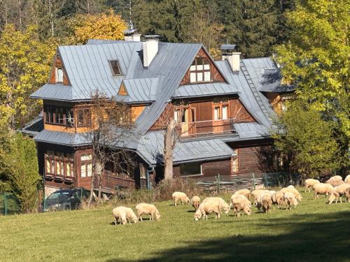 Dom Sw Stanislawa, Закопане