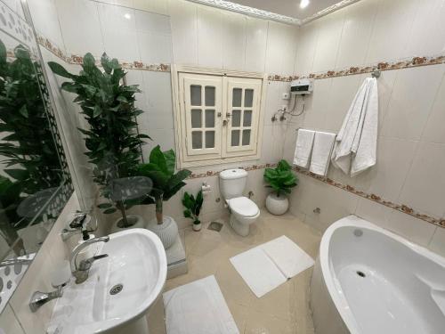 Danda moon Pyramids Hotel