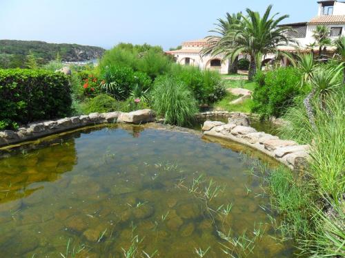 I Delfini di Cala del Faro - image 4