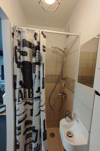 La room in Joue-les-Tours