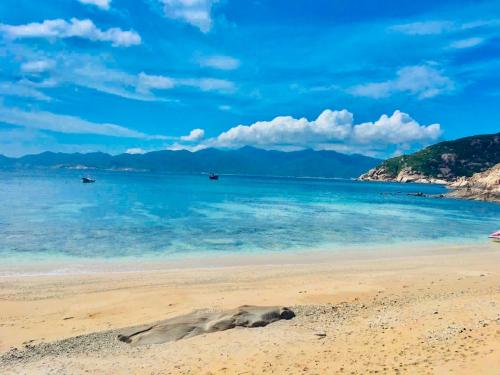 Đảo Bình Ba - không nhận khách quốc tế, view trực tiếp biển, phòng đơn