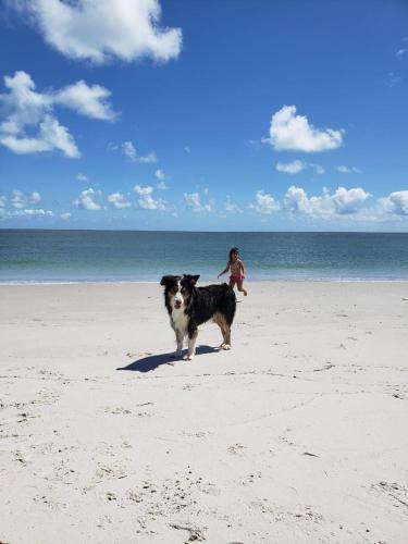 Seaside, pool, 20 beds Pontal de Itamaracá