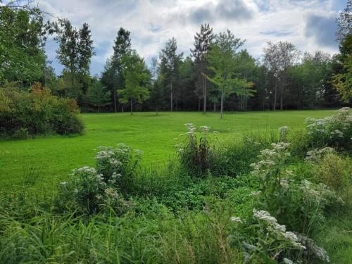 Modern, Amish-Built Farmhouse, 3 bedrooms sleeps 6 in Medina (NY)