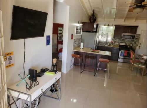 Villa Island in Ocho Rios