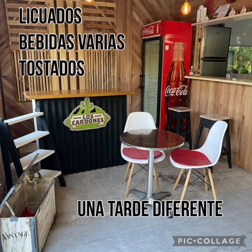 Los cardones in Gobernador Gregores