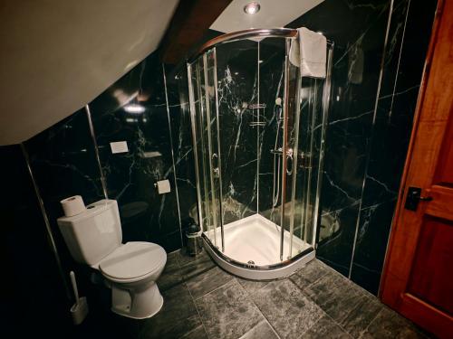Dolgun Uchaf B&B and Cottages - image 8