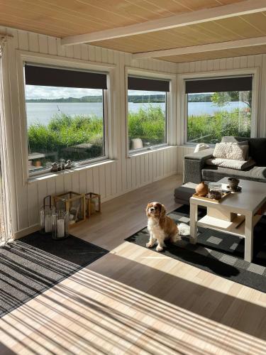 Vista exterior, Protected Fjord Cabin With Fjord Views in Uggelhuse