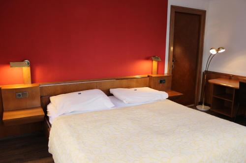 Hotel Restaurant Schweizerhaus - image 14