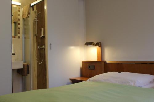 Hotel Restaurant Schweizerhaus - main image