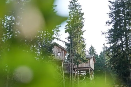 Baumhotel in Kopfing im Innkreis, Österreich