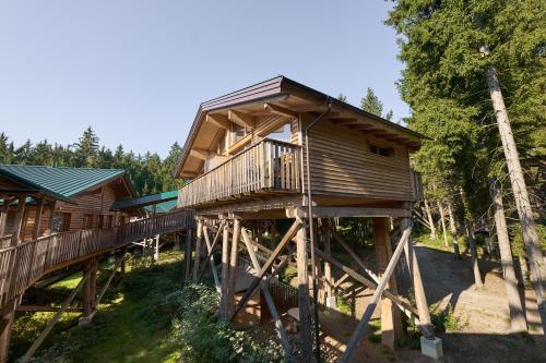 Baumhotel