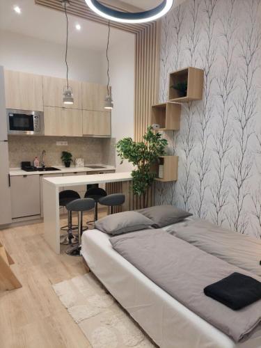 Studio Apartment image 1