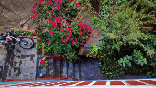 Studio with Garden View
