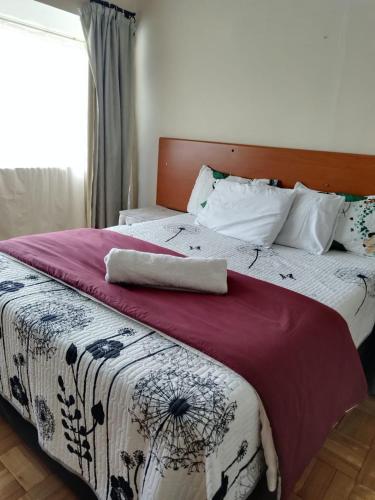 J & J Paradise Guest House, Pietermaritzburg (fotografie 2)