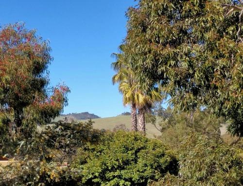 Lambert's Little Paradise